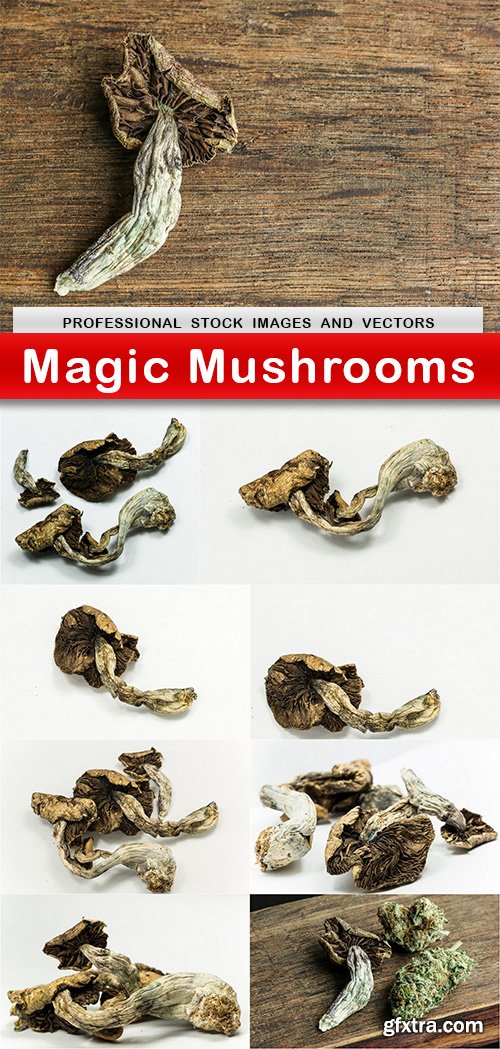 Magic Mushrooms - 9 UHQ JPEG