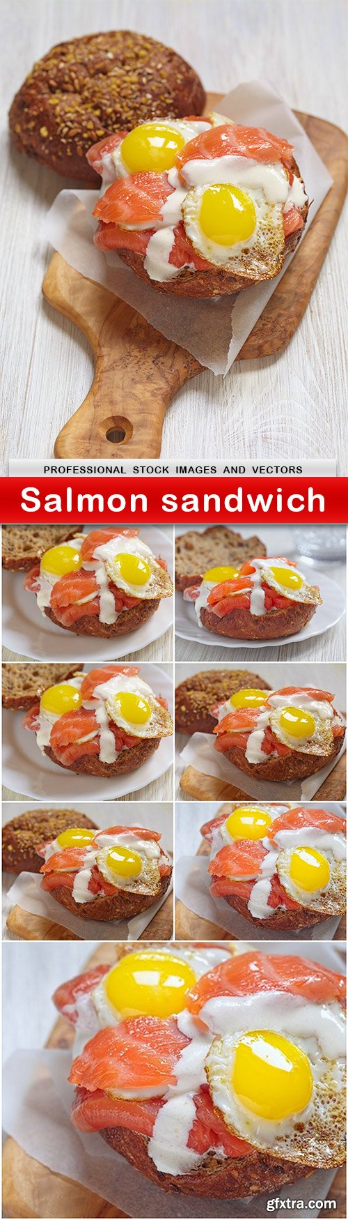 Salmon sandwich - 8 UHQ JPEG