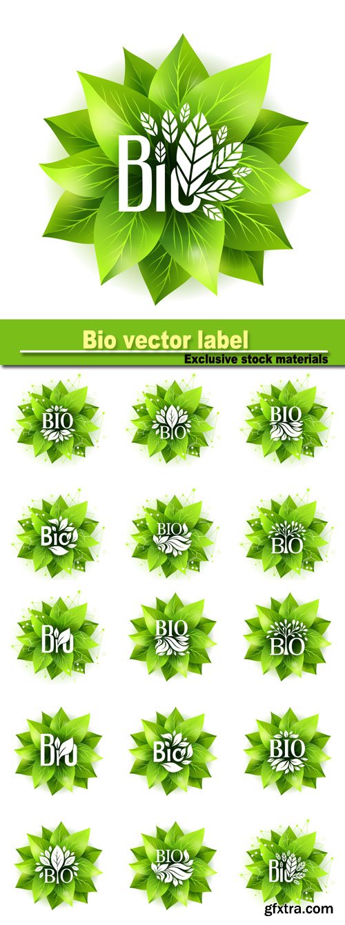 Bio label, vector badge with green leaves