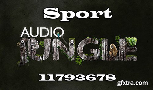 Audiojungle Sport 11793678