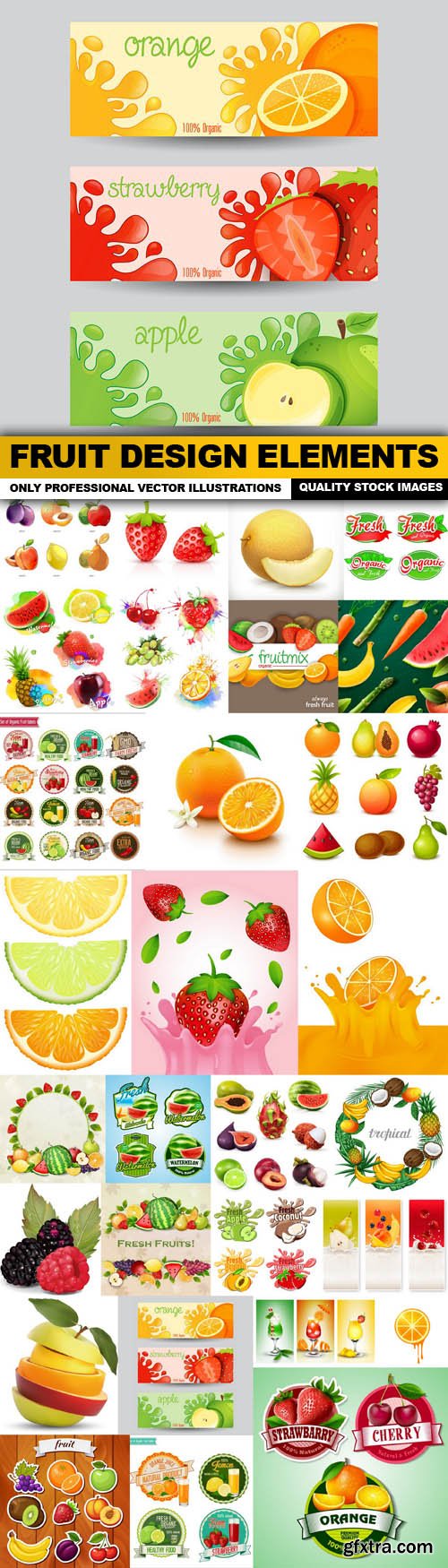 Fruit Design Elements - 30 Vector