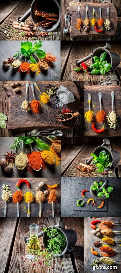 Various Herbs and Spices on Spoons