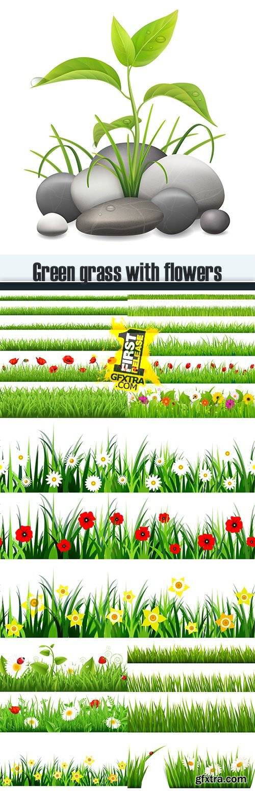 Green grass with flowers