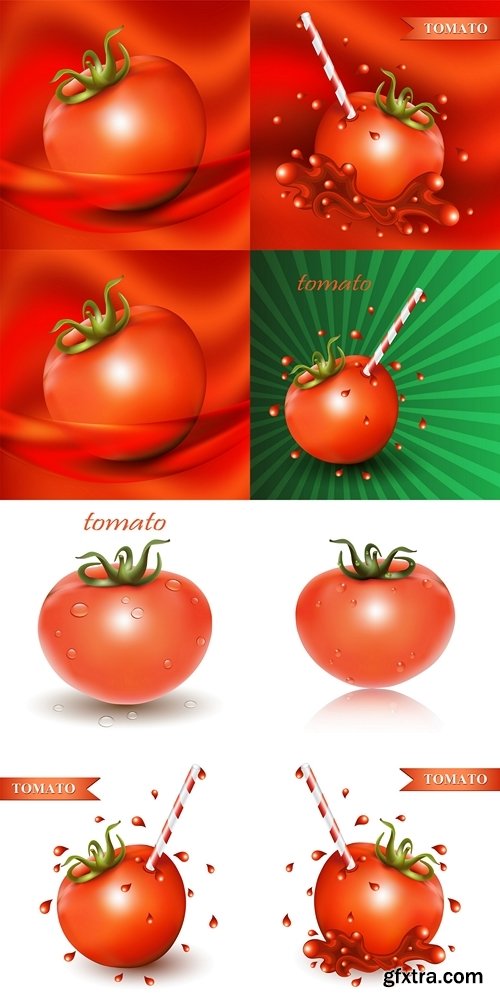 Fresh tomato with tubule
