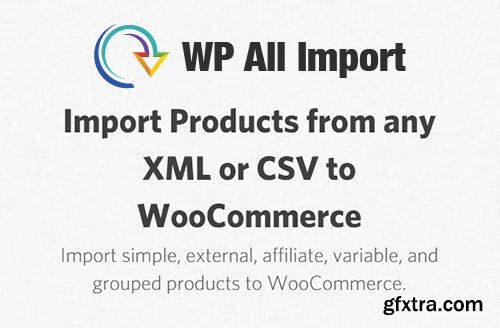 WP All Import Pro - Import Products from any XML or CSV to WooCommerce v2.2.9