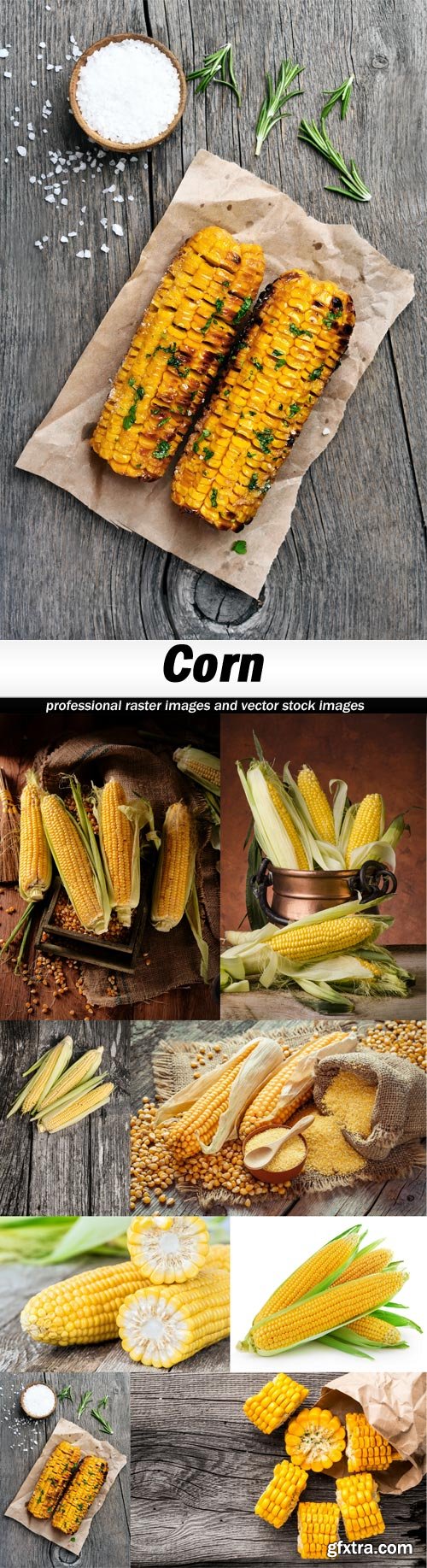 Corn-8xUHQ JPEG
