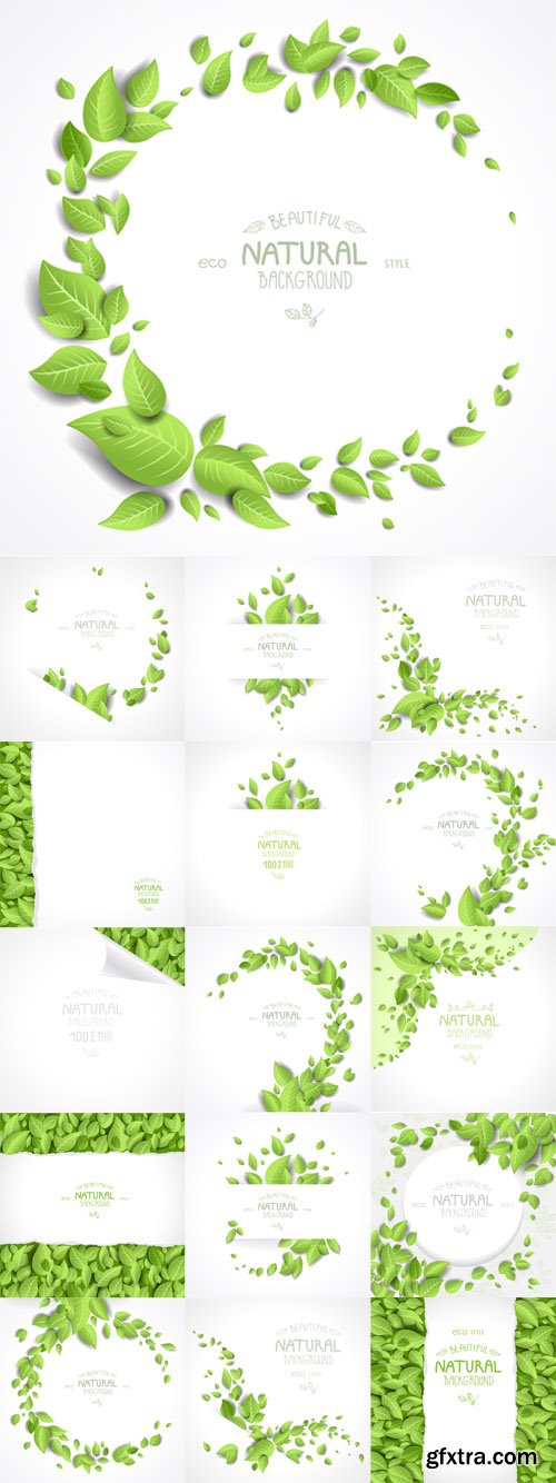 Vector Set - Background and Frames with Green Leaves