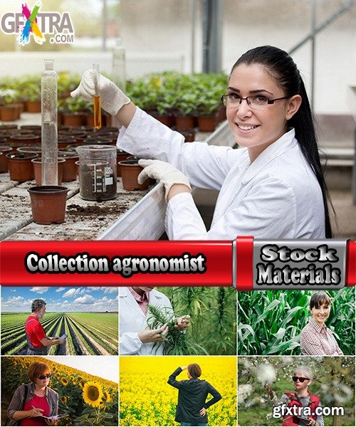 Collection agronomist farmer checking agricultural crop breeding 25 HQ Jpeg