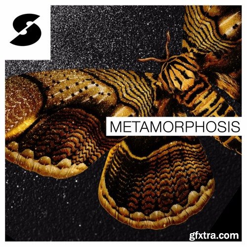 Samplephonics Metamorphosis MULTiFORMAT-FANTASTiC
