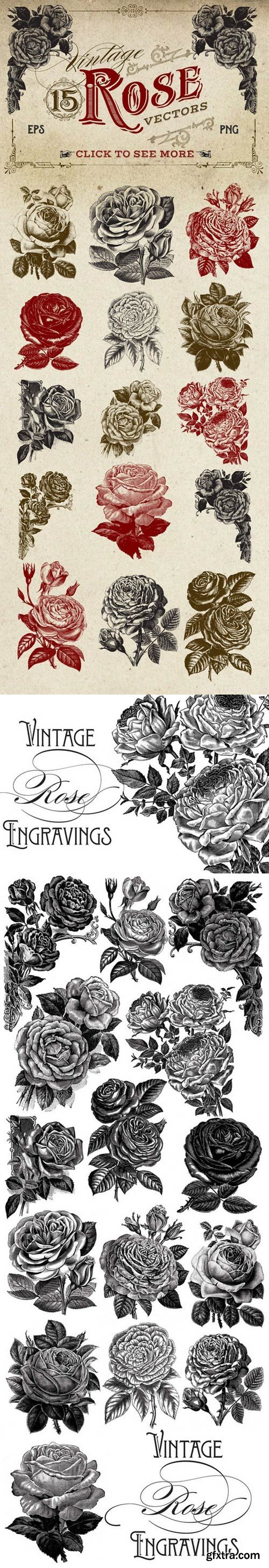 CM - Vintage Rose Vector Graphics 260145
