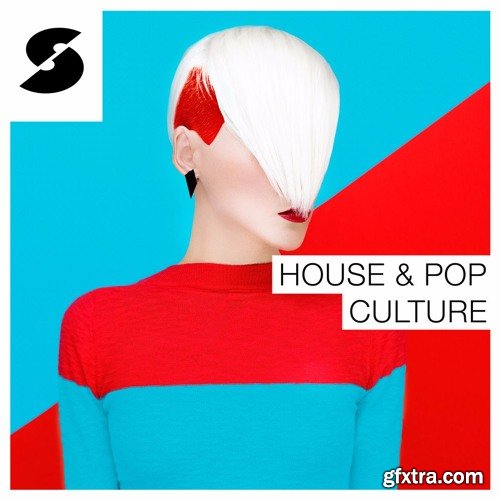 Samplephonics House and Pop Culture MULTiFORMAT-FANTASTiC