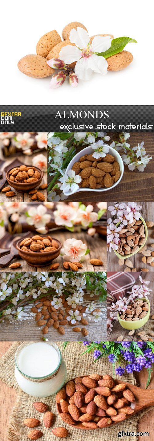 Almonds - 8 UHQ JPEG