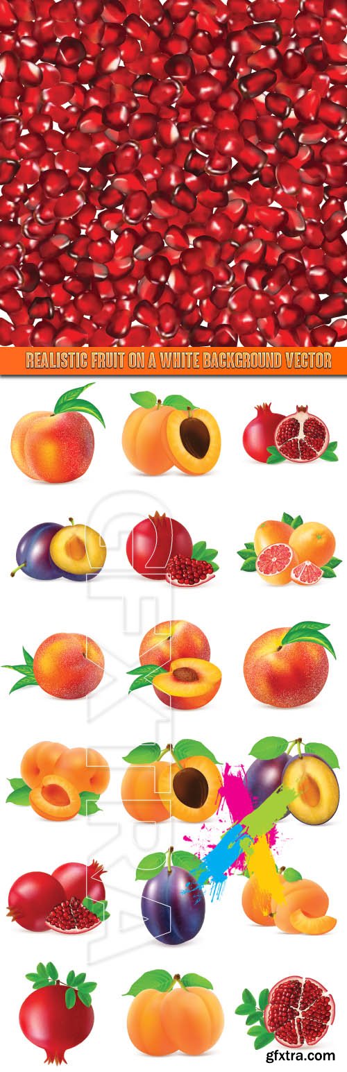 Realistic fruit on a white background vector