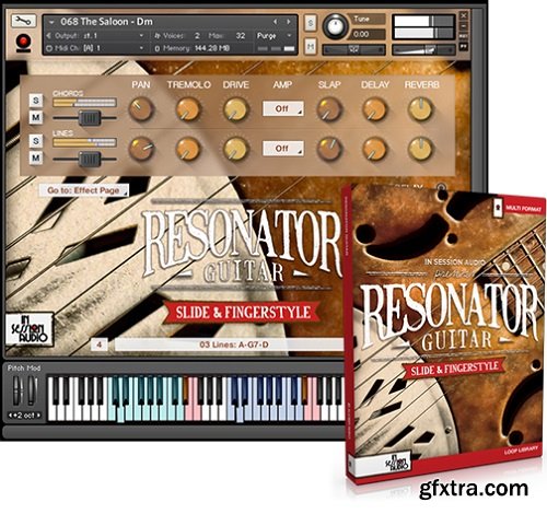 In Session Audio Resonator Guitar MULTiFORMAT-FANTASTiC