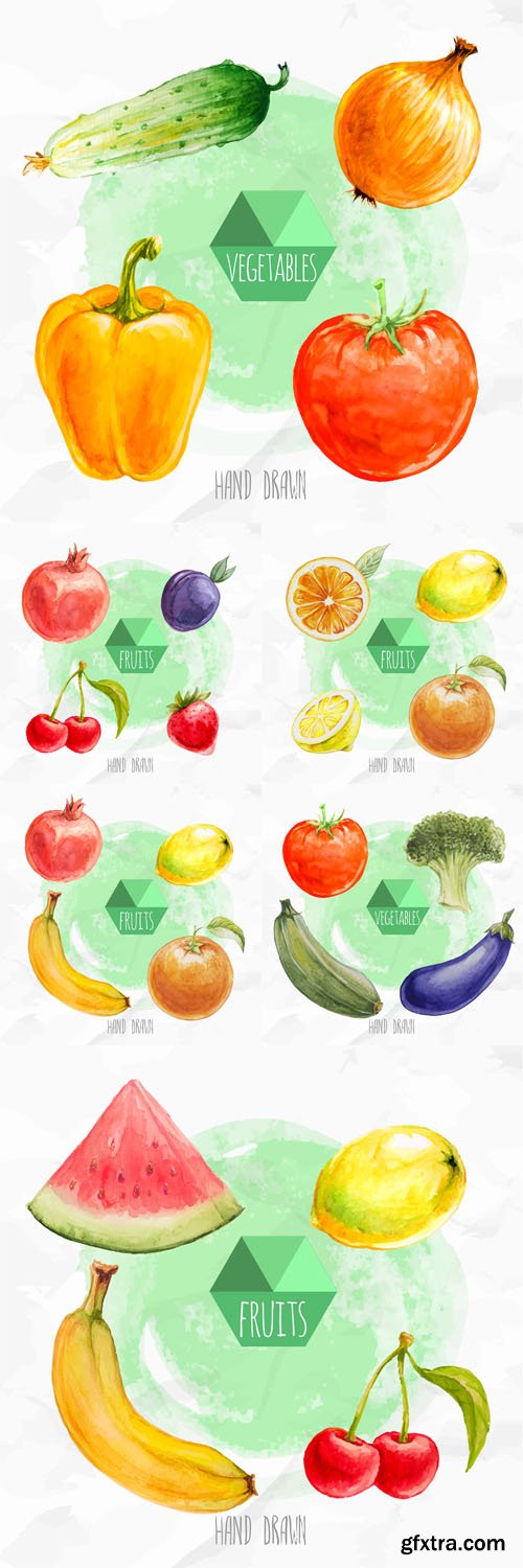 Vector Set - Watercolor Hand Painted Fruits