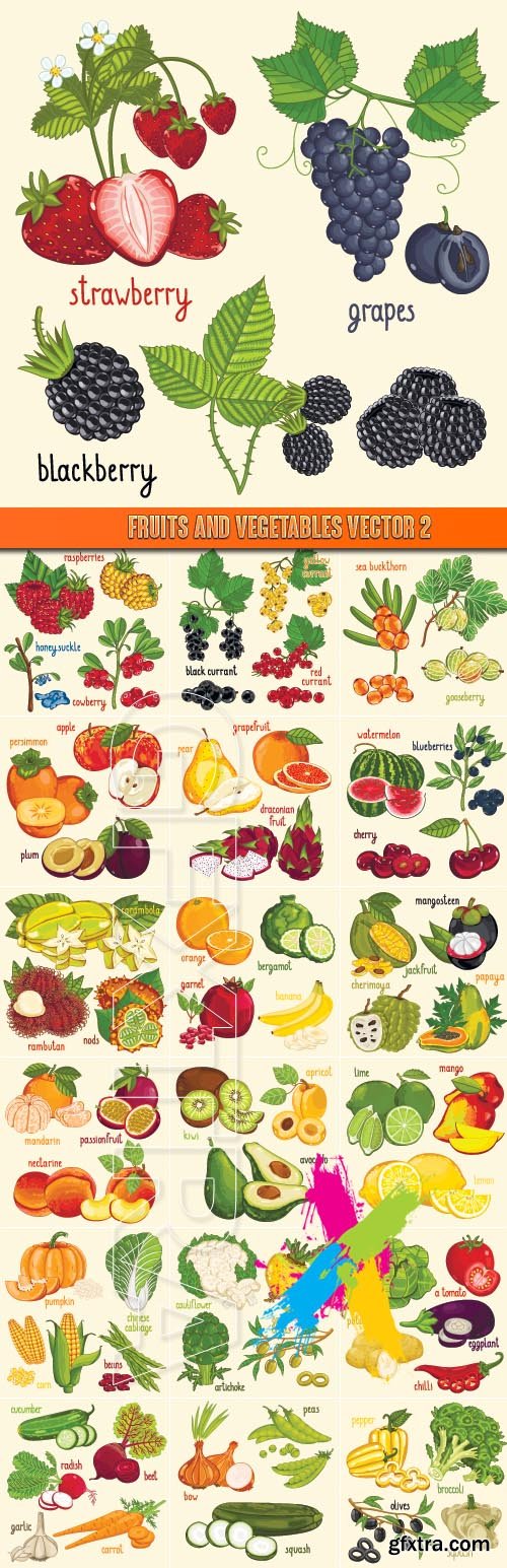 Fruits and vegetables vector 2
