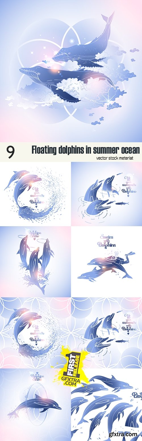 Floating dolphins in summer ocean