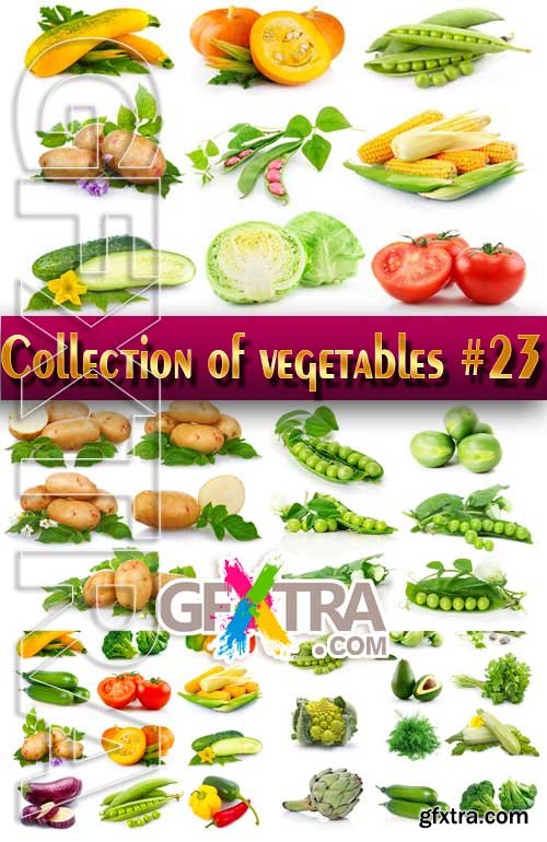 Food. Mega Collection. Vegetables #23 - Stock Photo
