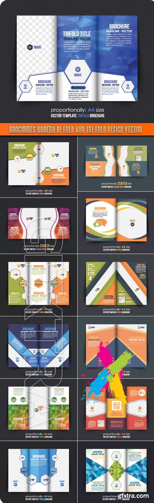 Brochures modern bi-fold and tri-fold design vector