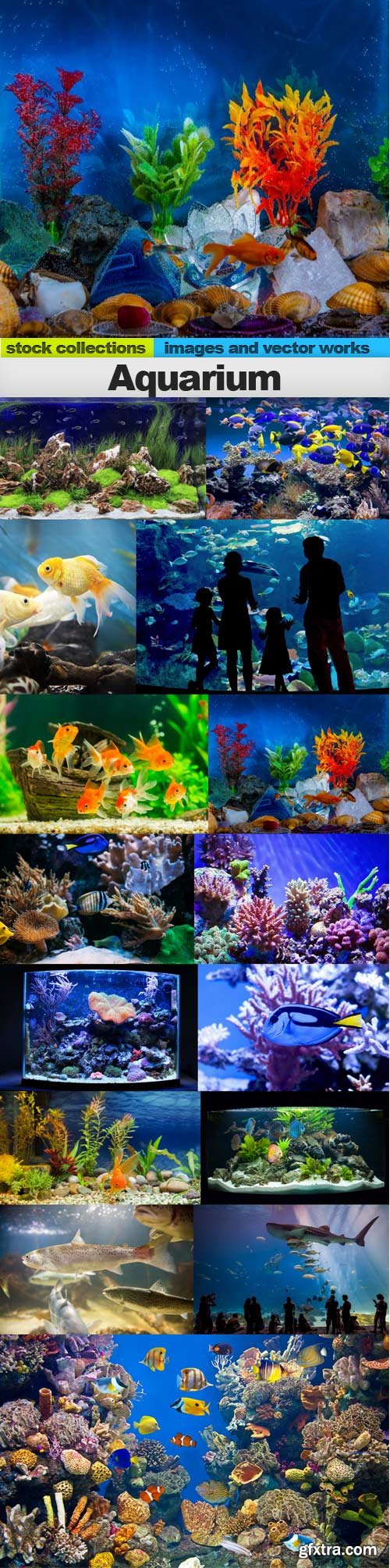 Aquarium, 15 x UHQ JPEG