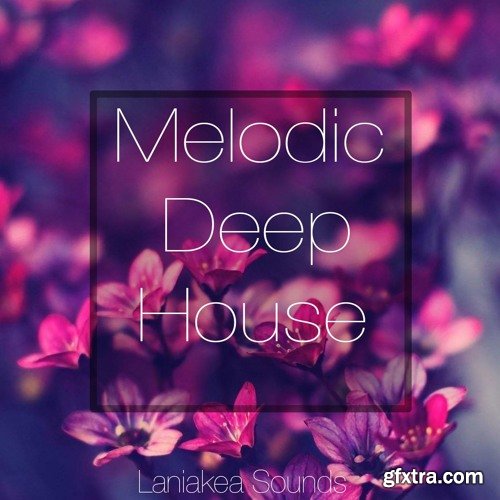 Laniakea Sounds Melodic Deep House MASSIVE PRESETS ACID WAV MIDI-iNTEGRAL