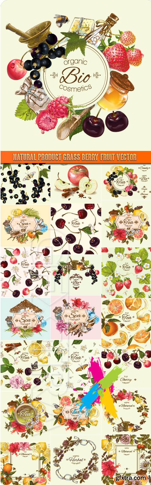 Natural organic product herbal berry fruit vector