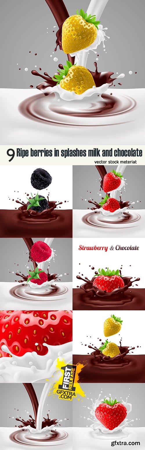 Ripe berries in splashes milk and chocolate