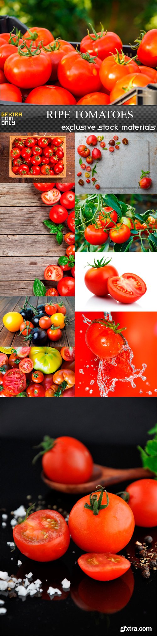 Ripe tomatoes - 10 UHQ JPEG
