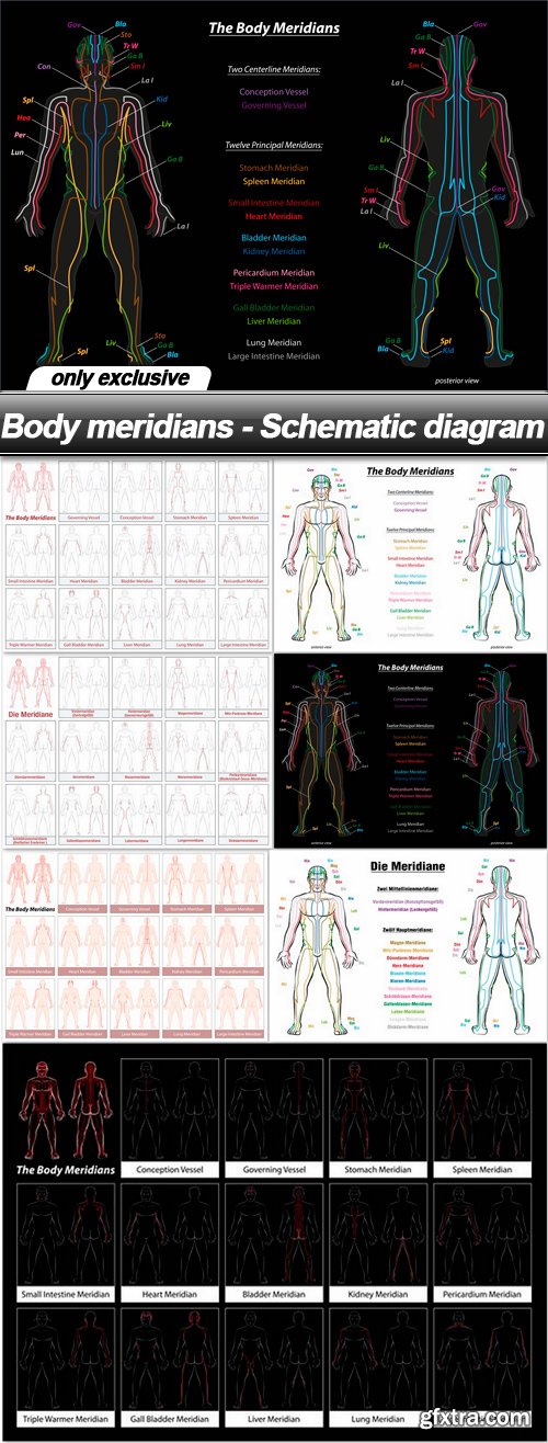 Body meridians - Schematic diagram - 7 EPS
