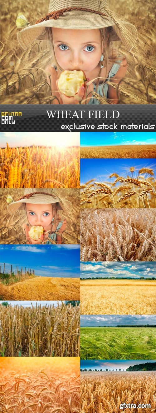 Wheat Field - 11 x JPEGs