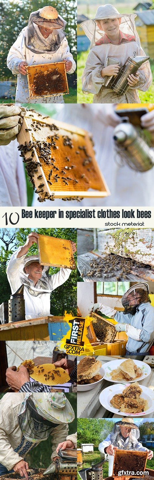 Bee keeper in specialist clothes look bees