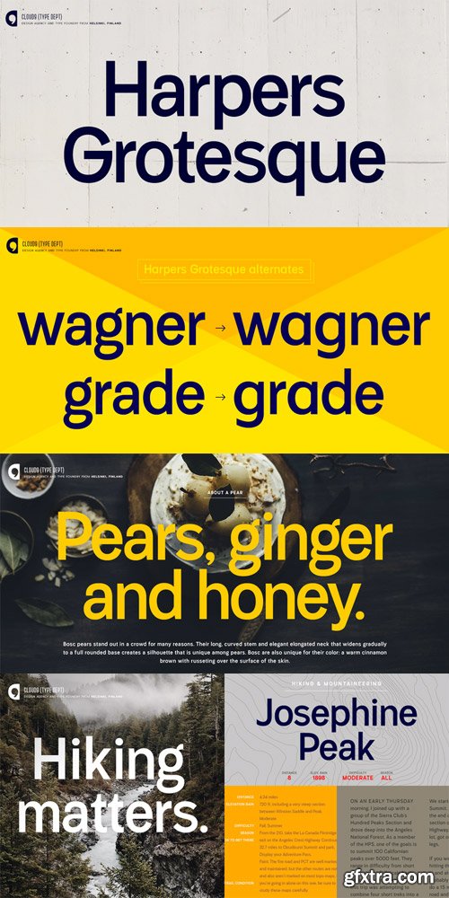 Harpers Grotesque Font Family $45