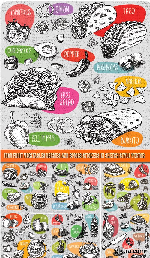 Food fruit vegetables berries and spices stickers in sketch style vector