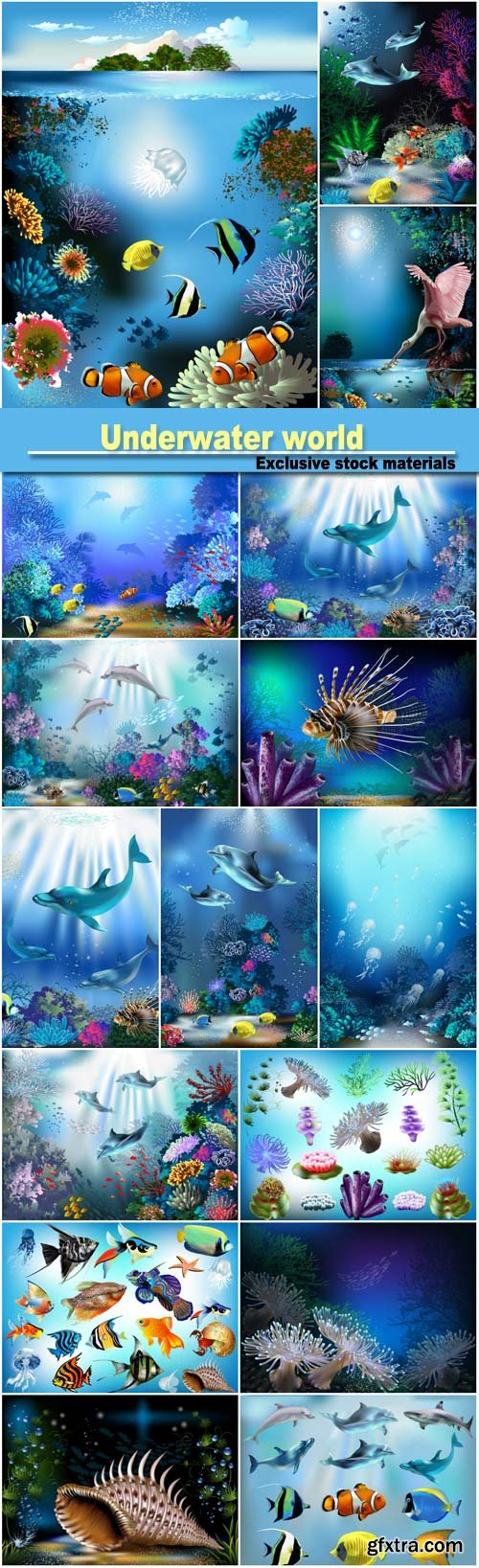Underwater world, fish and dolphins