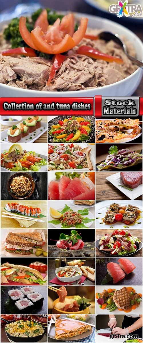 Collection of and tuna dishes from it 25 HQ Jpeg