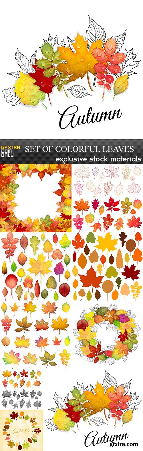 Set of colorful leaves, 9 x EPS