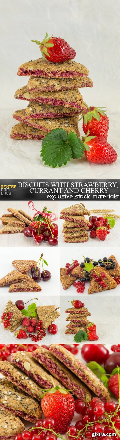 Biscuits with Strawberry, Currant and Cherry - 8 UHQ JPEG