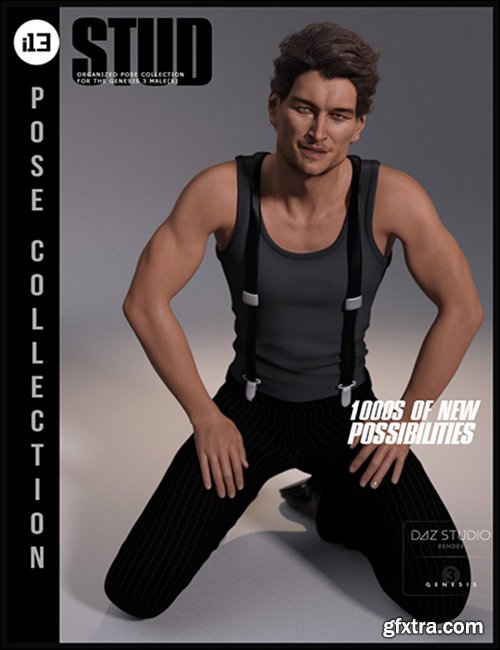i13 Stud Pose Collection for the Genesis 3 Male(s) 29272 DAZ3D