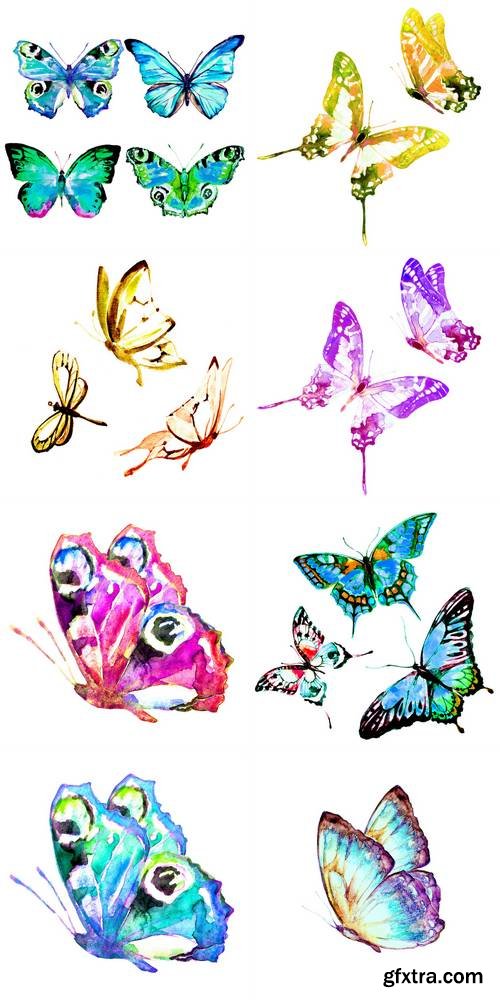 Watercolor Butterfly Isolated
