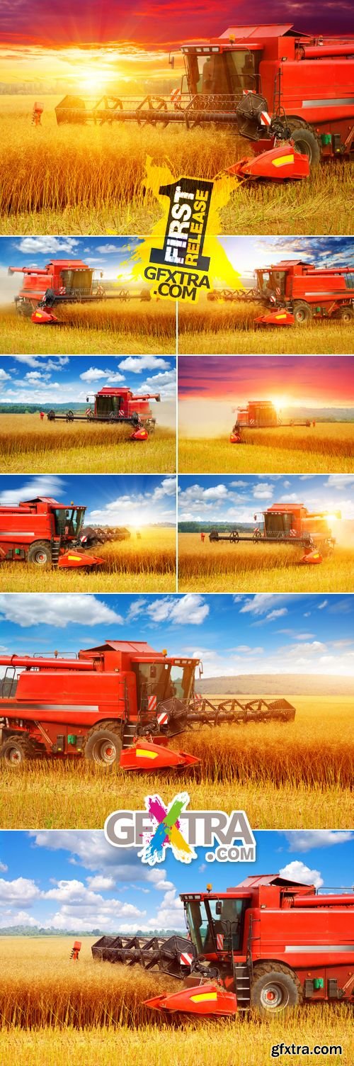 Stock Photo - Combine Working at Field