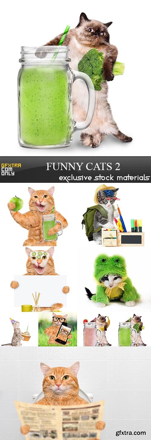 Funny cats 2, 9 x UHQ JPEG