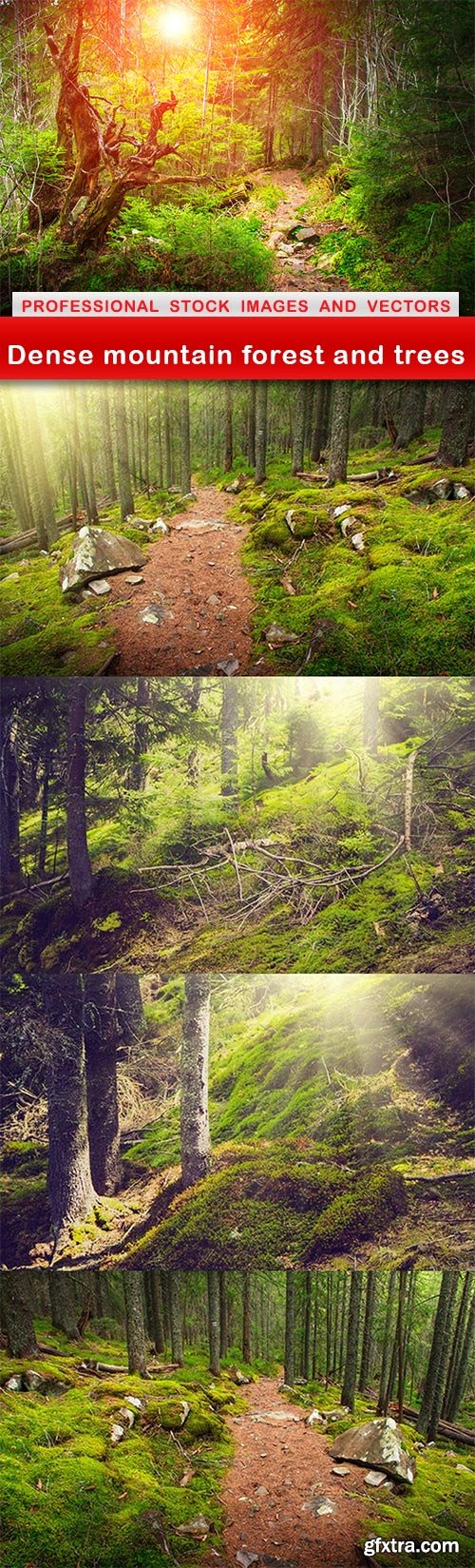 Dense mountain forest and trees - 5 UHQ JPEG
