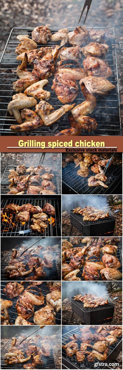 Grilling spiced chicken in grid on charcoal