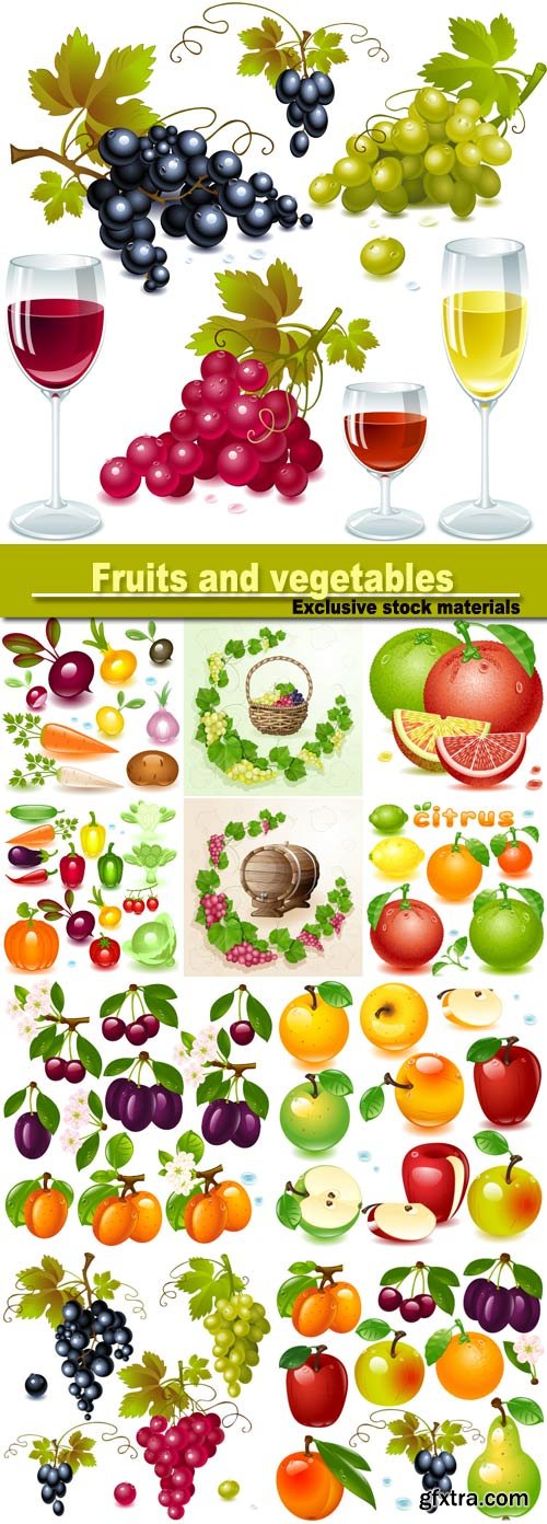Fruits and vegetables, berries vector
