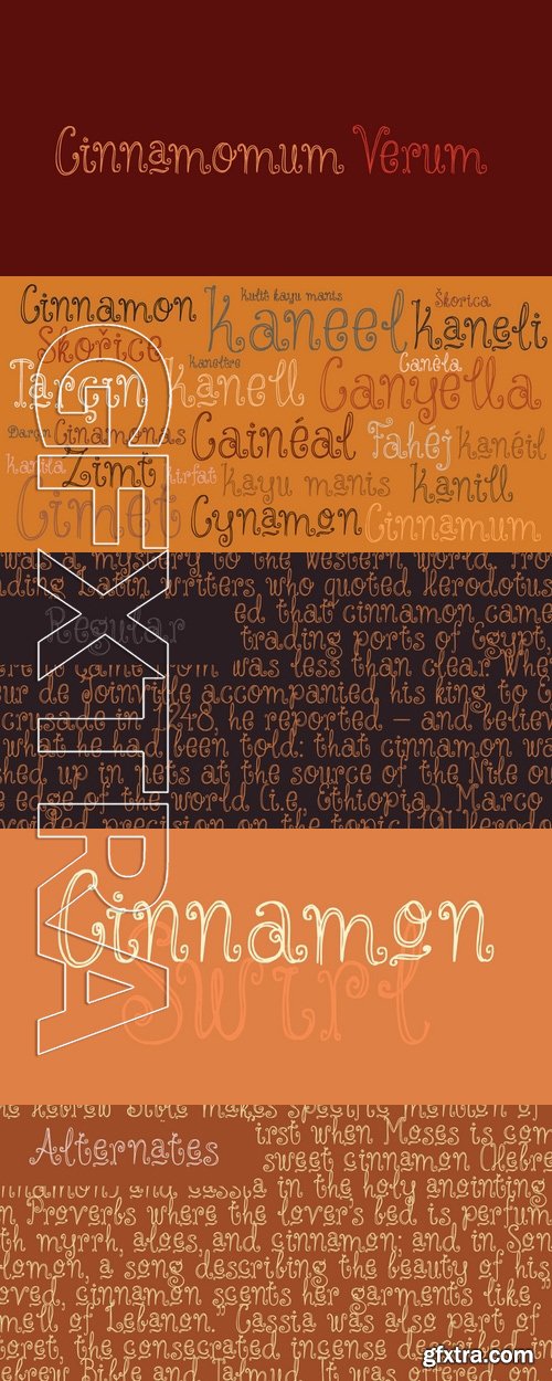 Cinnamon Swirl - 1 font: $15.00