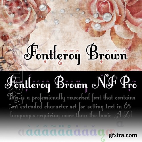 Fontleroy Brown NF Pro - 1 font: $10.00