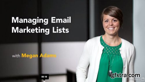 Managing Email Marketing Lists and Campaigns
