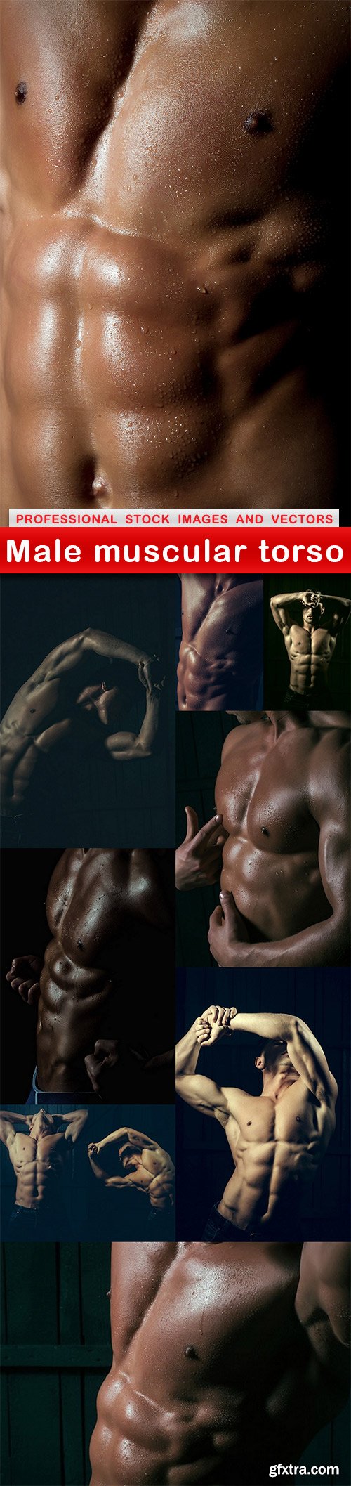 Male muscular torso - 10 UHQ JPEG