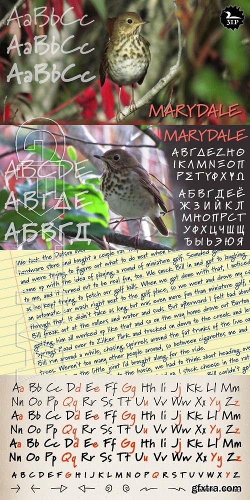 Marydale - 3 fonts: $79.00