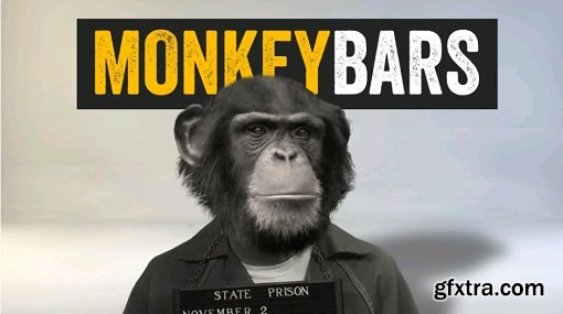 MonkeyBars V1.0 - for After Effects